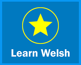 Welsh star